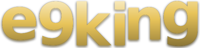 e9king logo